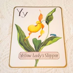 4 for $25! Letter Y Yellow Lady's Slipper Flower Card